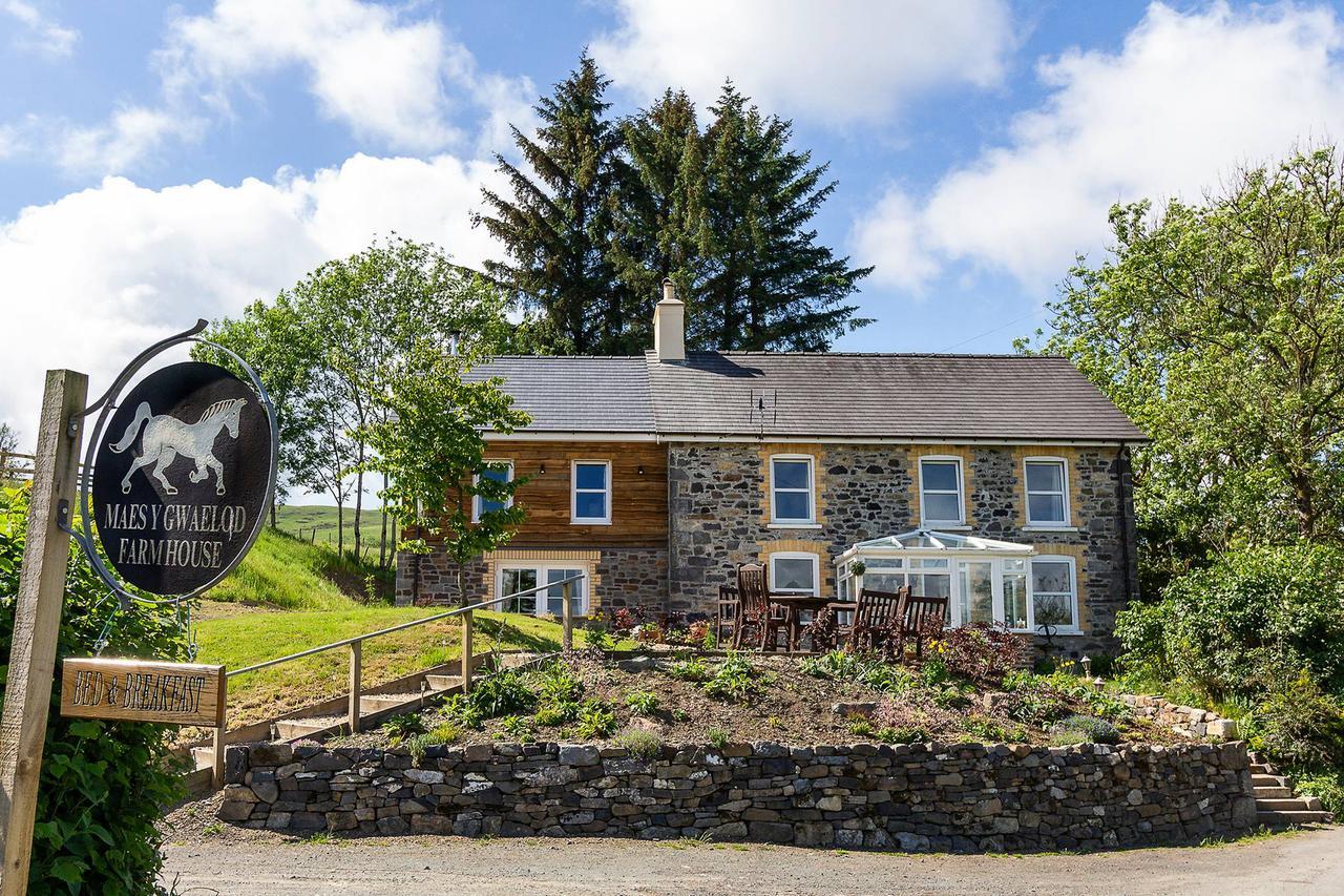 Bed and Breakfast Maes Y Gwaelod Llanwrtyd Wells Exterior foto